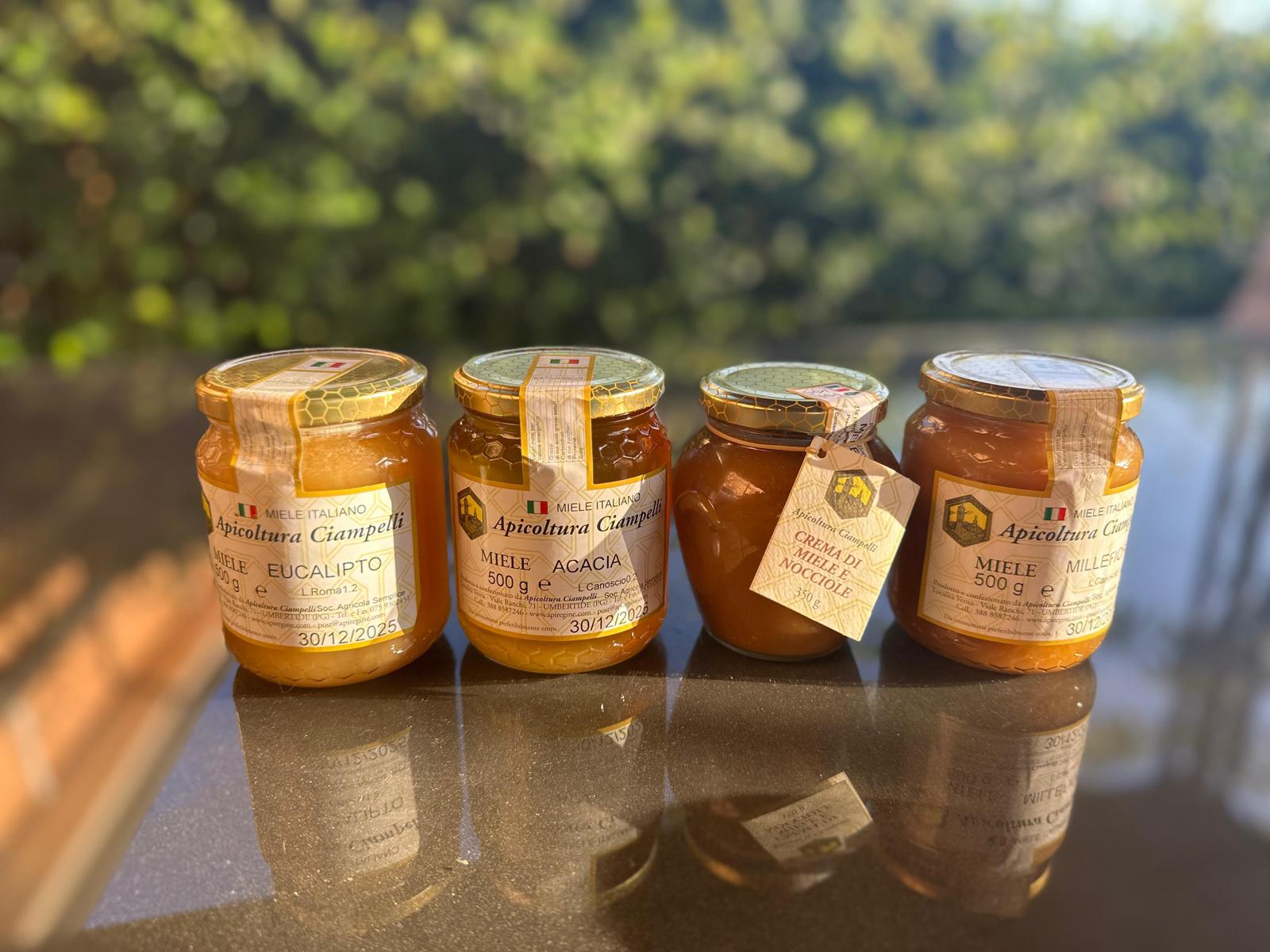Apicoltura Ciampelli - Mile di Acacia - 500gr - immagine 2