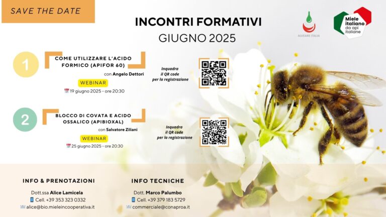 save the date incontri formativi giugno 2025