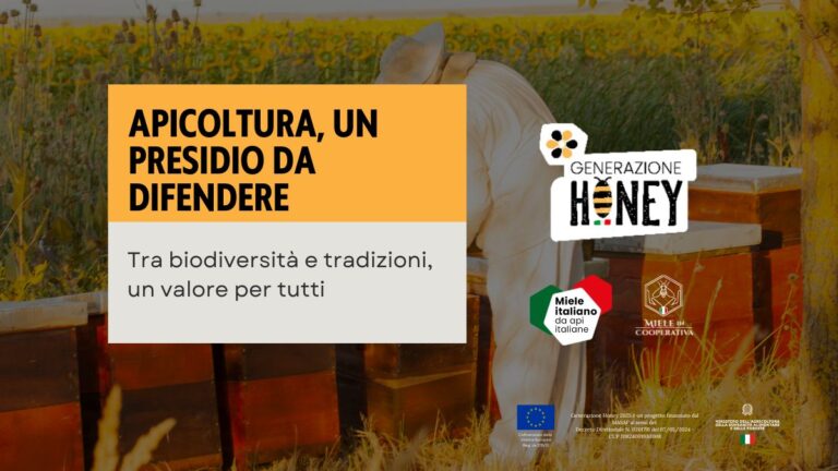 Copertine sito web MIC e Gen honey (1)