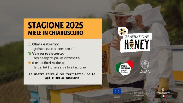 Stagione del miele 2025: luci e ombre di un anno difficile