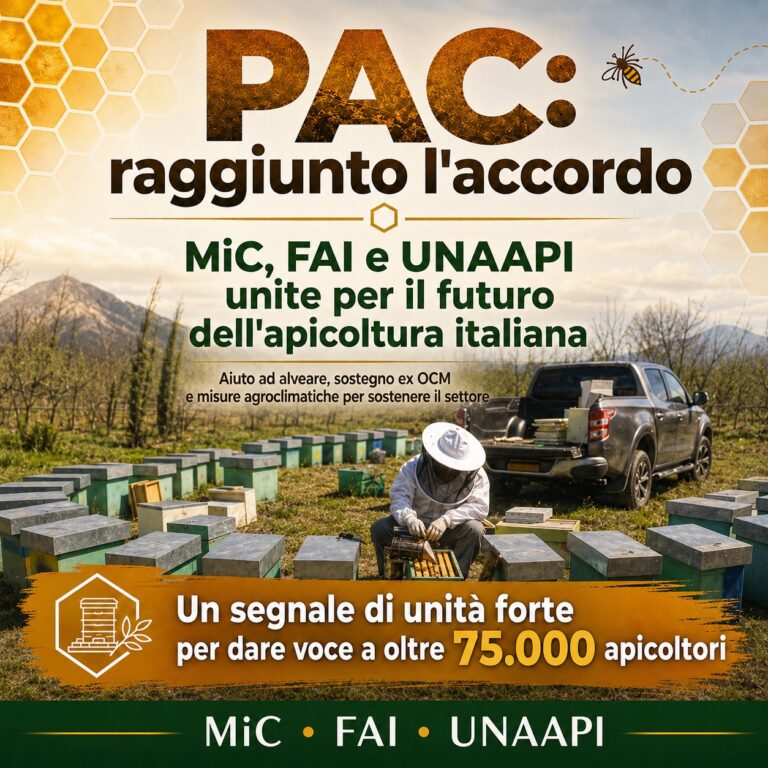 Accordo PAC MIC FAI UNAAPI